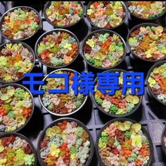 モコ様専用