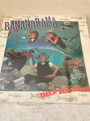 【2024年最新】bananarama Vinylの人気アイテム - メルカリ