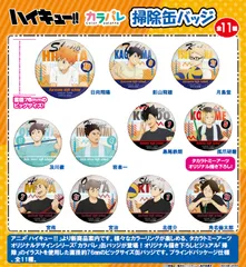 ハイキュー!!_カラパレ 掃除 缶バッジ【BOX／11個入り】