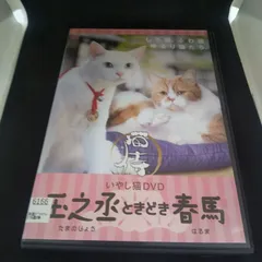 いやし猫dvd 玉之丞ときどき春馬　レンタル専用　中古　DVD　ケース付き