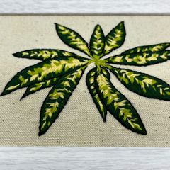 刺繍フレーム　刺繍　植物　アグラオネマ