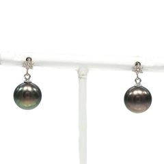 Augarten】アウガルテン 1000 Jahre Österreich Edition 1996