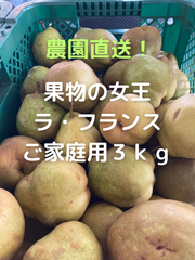 果物の女王「ラ・フランス」ご家庭用３ｋｇ
