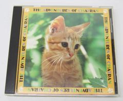廃盤 巻き込み帯 CD「子猫物語」オリジナル・サウンドトラック 坂本龍一 Amazon.co.jp: 子猫物語: ミュージック