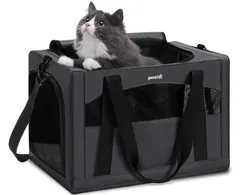 新品未使用、未開封品（ART JUNKIE）ヤンチャーキャット(クリア) 2025年最新】ヤンチャーの人気アイテム - メルカリ