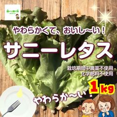 【クールメルカリ便】☆農薬や化学肥料は使用しておりません　やわらか〜い！サニーレタス　埼玉県産　約１kg