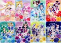 【中古】クリアファイル 全8種セット 「ジャンボカードダス 美少女戦士セーラームーン アートファイルコレクション3」