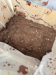 畑土 たっぷり 20L以上 各務原市鵜沼の高級黒土 家庭菜園 野菜の土 黒