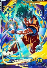 孫悟空(GDR)(SDV1-002)