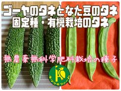 ゴーヤ（沖縄中長苦瓜）のタネ5粒となた豆のタネ5粒　無農薬無化学肥料栽培のタネセット