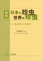 【大珍品】カトマンズアゲハ標本78mm 大珍品作品・超有名標本・世界に数頭 大珍品】カトマンズアゲハ標本78mm 大珍品作品・超有名標本・世界に数
