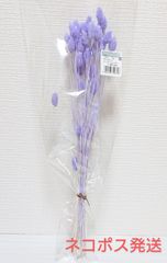 東北花材 ポアプランツ パープリッシュブルー 新品1束