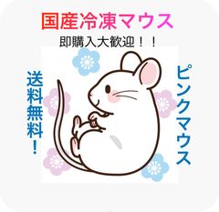 送料無料】国産冷凍ピンクマウスS 30匹入@即購入OK！北海道・沖縄の方