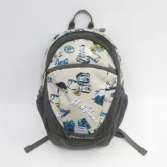 THE NORTH FACE ノースフェイス スモールデイ キッズ リュック 15L ※中古