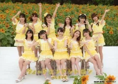 【中古】生写真(女性) イコールラブ(=LOVE)/集合(11人)/2Lサイズ/CD「ウィークエンドシトロン」セブンネットショッピング特典生写真