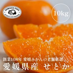 【創業108年 愛媛みかんの老舗】せとか 10kg 愛媛県産