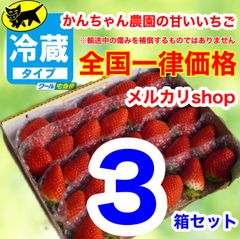 クール便【全国一律価格】3箱セット かんちゃん農園の甘いいちご