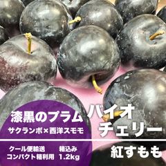 【クール便コンパクト】漆黒のプラム 山形県産 バイオチェリー 箱込み 1.2kg