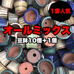 2024年最新】盆栽 ミニ盆栽 美芸の人気アイテム - メルカリ 2024年最新】盆栽 ミニ盆栽 美芸の人気アイテム - メルカリ