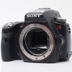 2024年最新】SONY α55 SLT-A55V ボディの人気アイテム - メルカリ