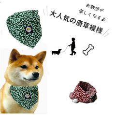 Item thumbnail for item f1bc085c-b54c-47b8-a07a-a9d9e9b4218a