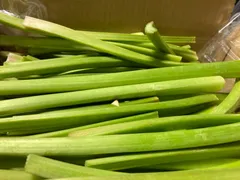 2025年最新】ルバーブ 野菜の人気アイテム - メルカリ