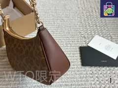 【今日WTO】Coach コーチ テリーアームバッグシリーズ 五金が再度アップグレードされた-WTO輸入2-RVO76