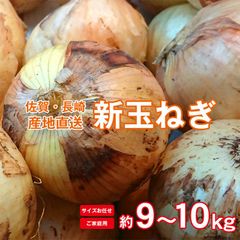 【3月末以降から順次ご発送】 【 新玉ねぎ 9～10kg 】送料無料 玉ねぎ 新玉ねぎ 新玉 産地直送 長崎県産 減農薬栽培 農家直送 サイズお任せ 大玉サイズ規格外 約 9.5～10kg 訳あり 規格外 玉ねぎ たまねぎ 野菜 オニオン サイズ混合 傷モノ