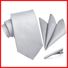 【早発送】SN フォーマル ネクタイメンズ 結婚式 シルバー ネクタイ チーフ セット ビジネス 3点セット タイクリップ 高級 ギフトボックス付き 紳士用 礼服用 入学式 卒業式 T-001S