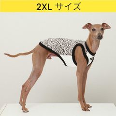 メルカリ イタグレ服 2XL ヒョウ柄 タンクトップ Tシャツ レオパード 小型犬 中型犬 大型犬 春 夏服 doggystar ドッギースター