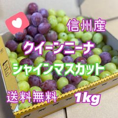 【1月16日以降発送】樹上完熟ぶどう  信州産クイーンニーナ×シャインマスカット MIX 訳あり箱込1kg