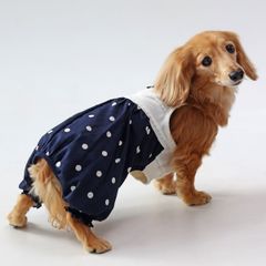 犬と生活　ドットパフパンツ