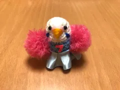 2024年最新】ハンドメイド セキセイインコの人気アイテム - メルカリ