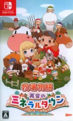 NS 牧場物語 再会のミネラルタウン 通常版