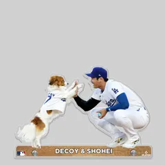 2025年最新】大谷翔平 プレートの人気アイテム - メルカリ
