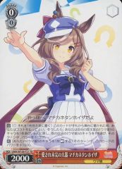 ヴァイス ミホノブルボン 11枚 ウマ娘 - メルカリ
