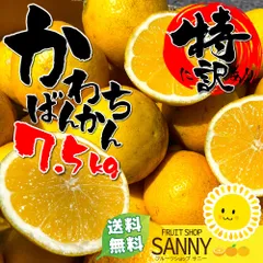 みかん 愛媛県産 河内晩柑 箱込7kg+保証分500g 訳あり （不ぞろい・外皮の小傷シミ多め）のサムネイル