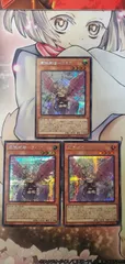 遊戯王　遊戯王デュエルモンスターズ　QUARTER CENTURY ART COLLECTION(クォーター センチュリー アート コレクション)　憑依装着―ライナ　絵違いシク３枚