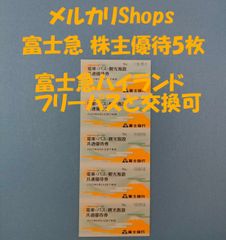 富士急行 株主優待券 10枚 富士急ハイランド等で使用可能 - 株主優待