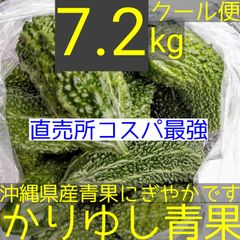 〈直売所コスパ最強〉沖縄県産ミニゴーヤＢ品約7.2kg【クール便】①
