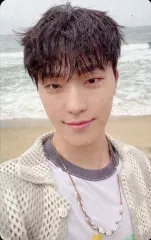 【中古】コレクションカード(男性) [ホロ仕様]：SEVENTEEN/ディノ(DINO)/CD「SPILL THE FEELS」(Standard Ver.)SEVENTEEN Weverse Shop JAPAN特典ホログラム入りスペシャルフォトカード