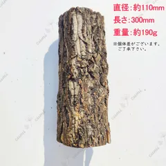 25E710　 ポルトガル産 キャノンコルク コルク樹皮 バージンコルク 25E710 ポルトガル産 キャノンコルク コルク樹皮 バージンコルク