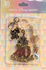 東京ディズニーリゾート キーチェーン TDR40周年 Dream-Go-Round シンデレラ城 40周年