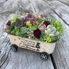 多肉植物寄せ植えそのまま飾れるちま寄せ花車
