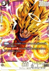 孫悟空(SR★/パラレル)(FB05-100)