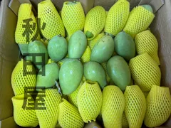 即発送可能‼️ベトナムのグリーンマンゴー5kg ベトナムのグリーンマンゴー5kg 果物