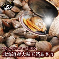 あさり 500g 北海道産 天然 特大アサリ 大粒-1粒平均20-30g 浅利