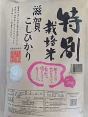 岐阜県産はつしも（精米）20k - メルカリ