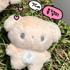 #248 nctdream ロンジュン 7cmぬいぐるみ