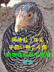 SAKURAさんの遊牧するにわとり達のたまご洗った卵72個 SAKURAさんの遊牧するにわとり達のたまご洗った卵72個